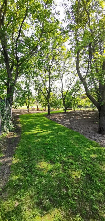 Szent Erzsebet Apartmanhaz Kecskemet Luaran gambar